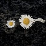 Gaensebluemchen piccolo Mutter Tochter