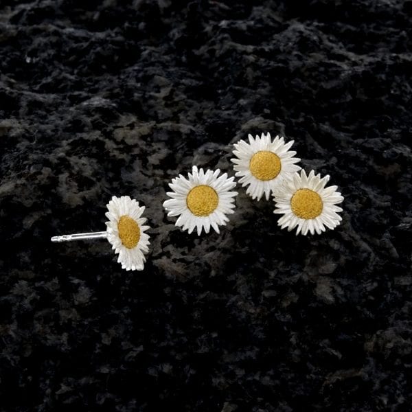 Gaensebluemchen piccolo gruppe