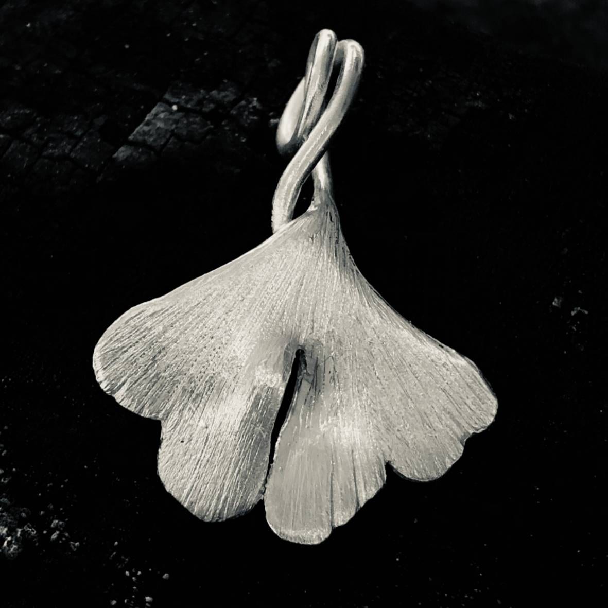 Ginkgo