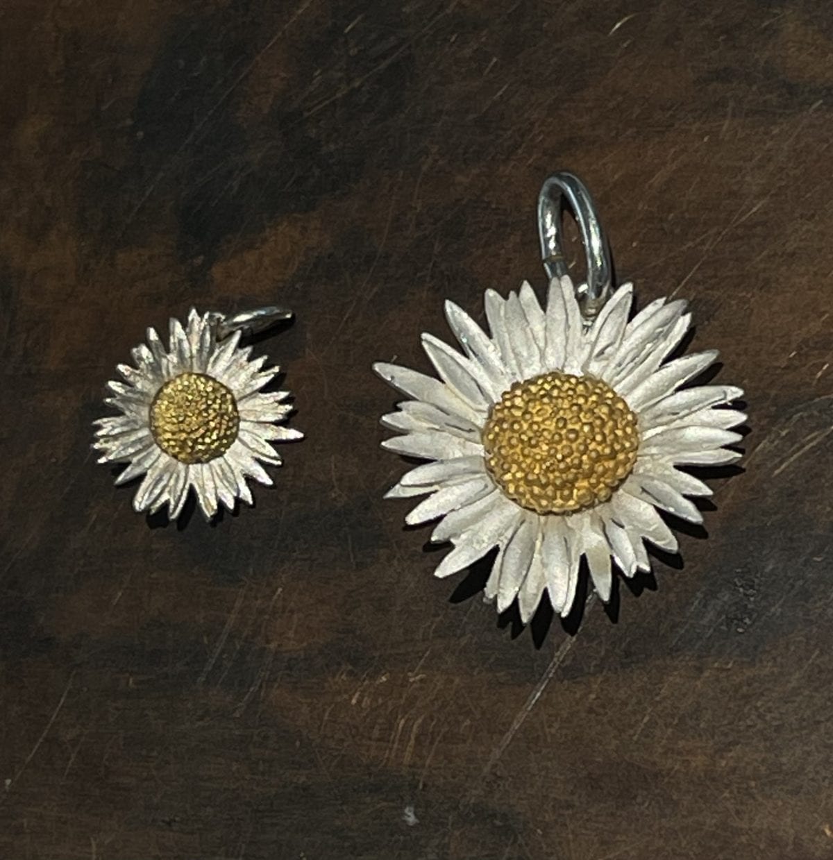 Gänseblümchen Bellis perennis Maximo, Anhänger – Bild 4