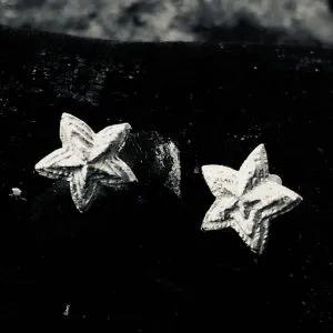 87 ohrstecker silbersterne