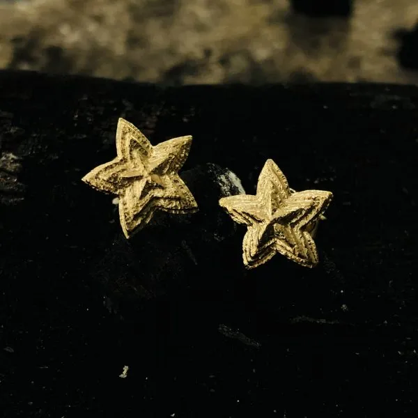 88 ohrstecker goldsterne