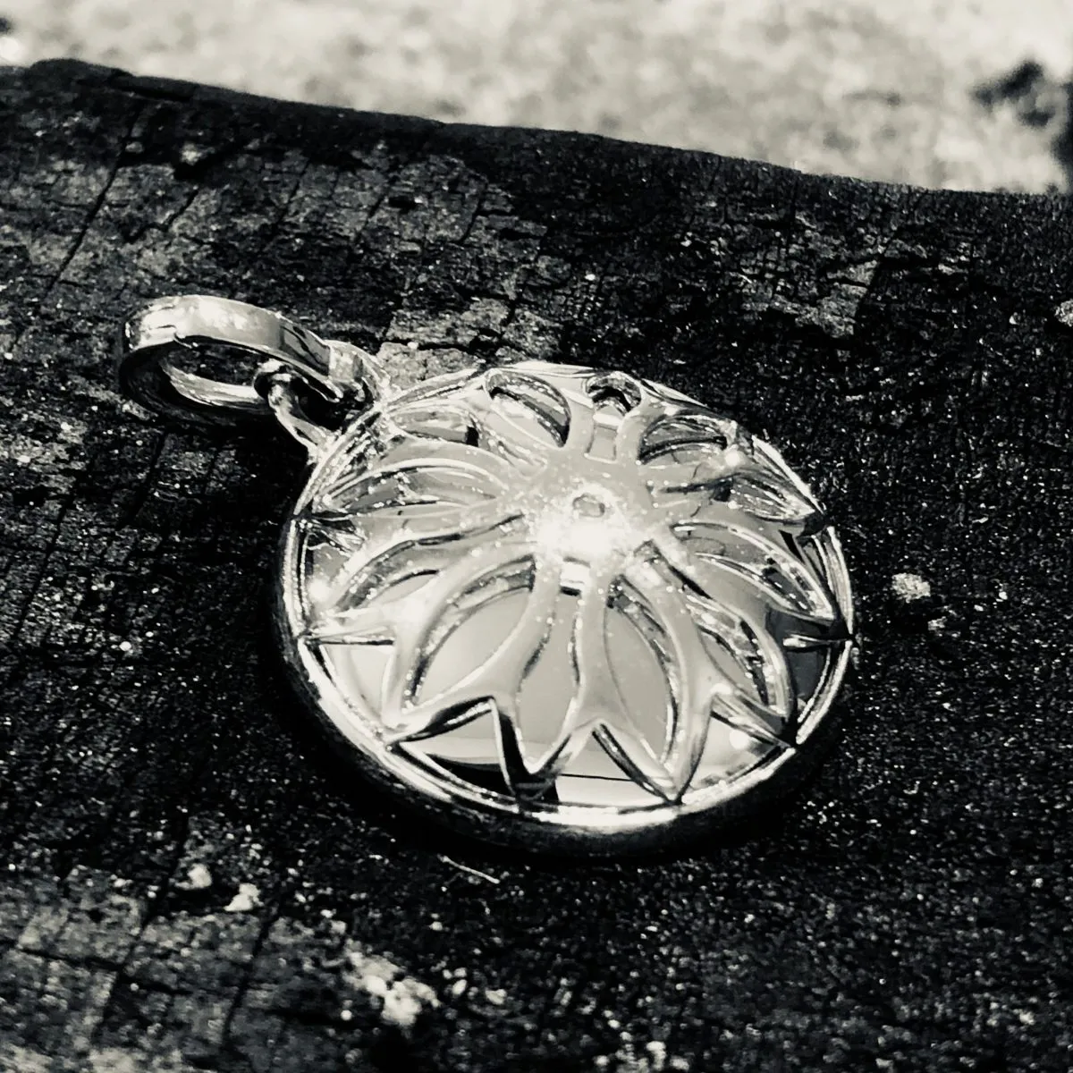 Anhaenger Emaille Weissgold Brillanten back