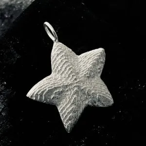 Anhaenger Silberstern