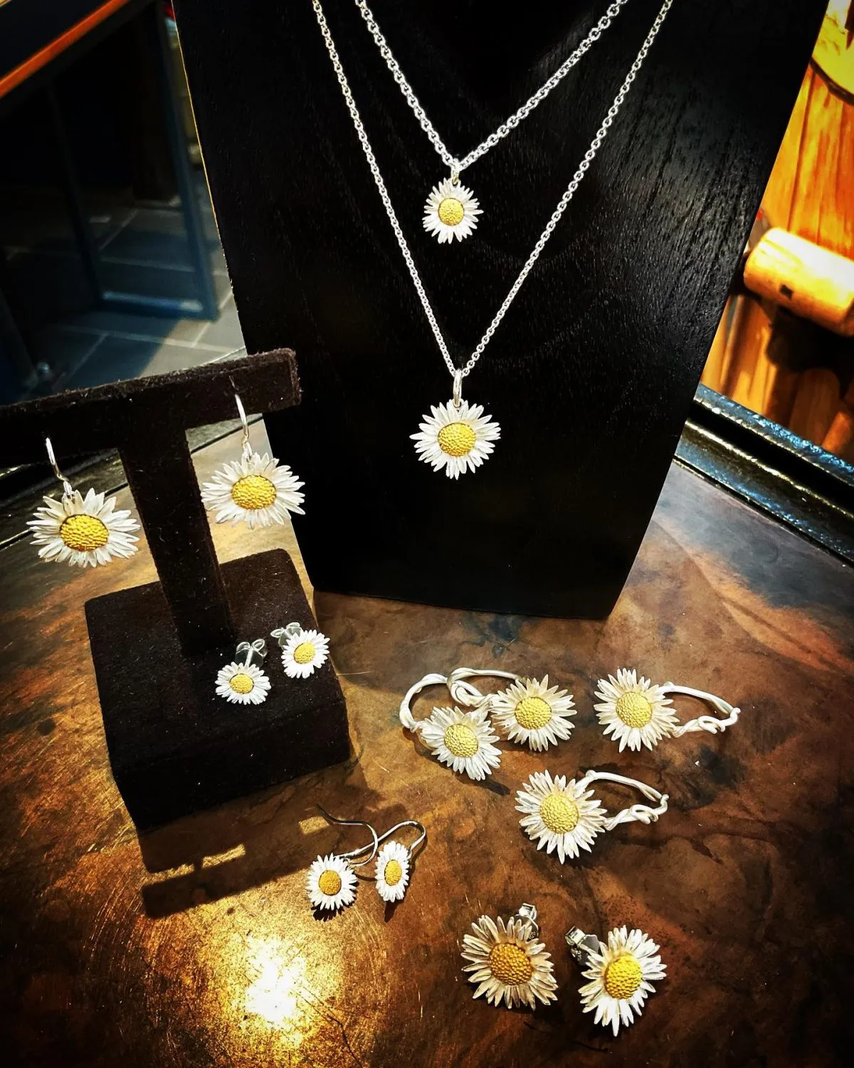 Gänseblümchen Bellis perennis Maximo, Ring (14) – Bild 2