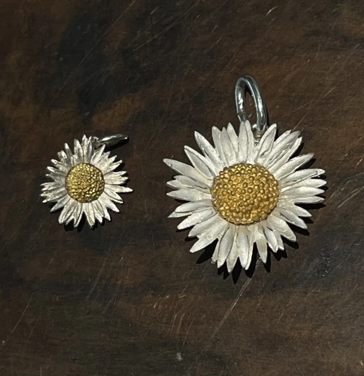 Gänseblümchen Bellis perennis Maximo, Anhänger – Bild 4