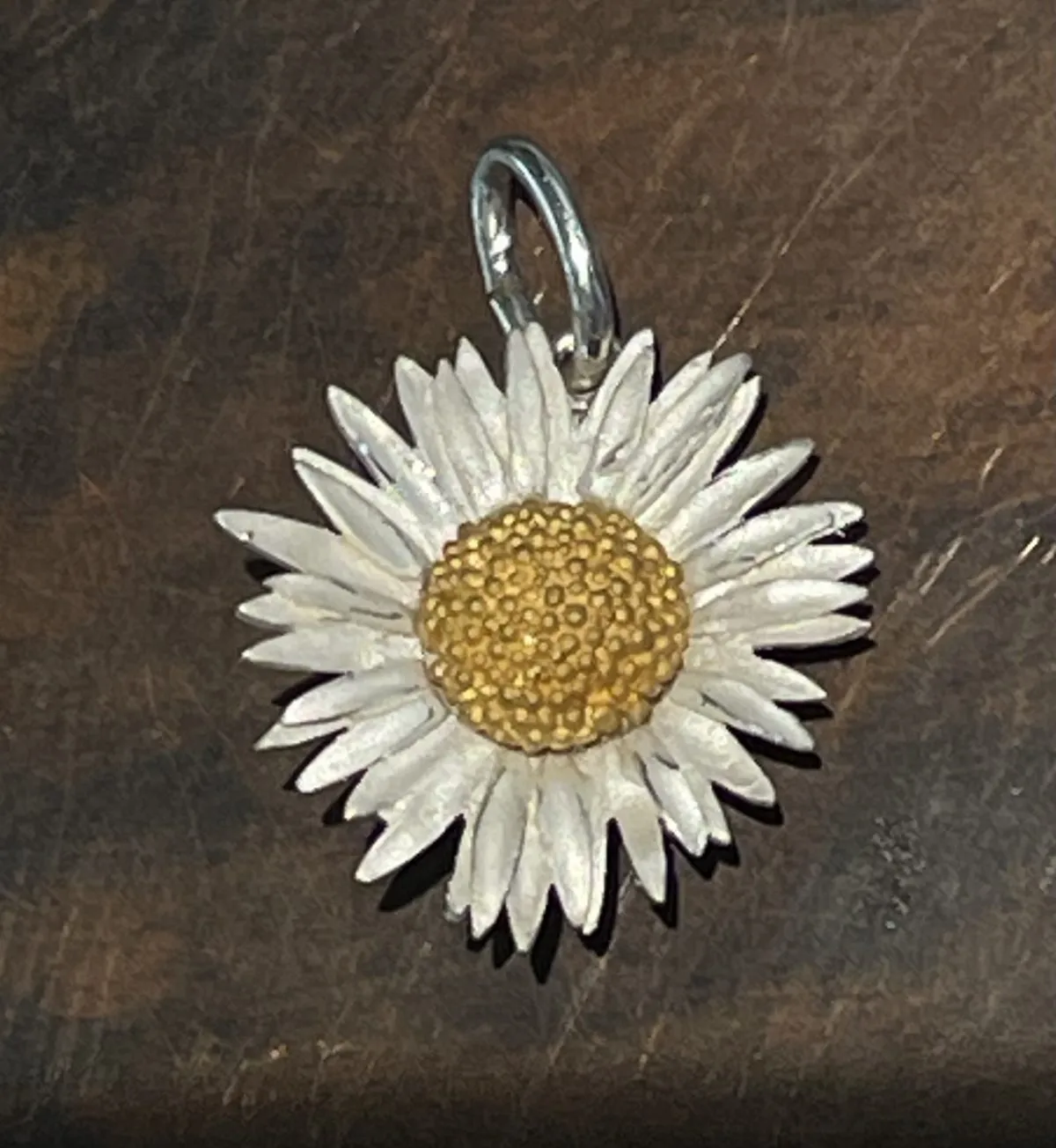 Gänseblümchen Bellis perennis Maximo, Anhänger – Bild 3