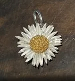 Gänseblümchen Bellis perennis Maximo, Anhänger