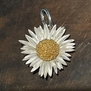 Gänseblümchen Bellis perennis Maximo, Anhänger