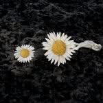 Gaensebluemchen piccolo Mutter Tochter