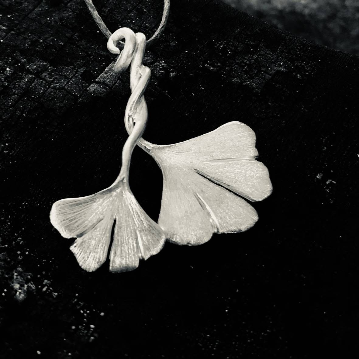 Ginkgo Paar klein Ginkgo Paar klein
