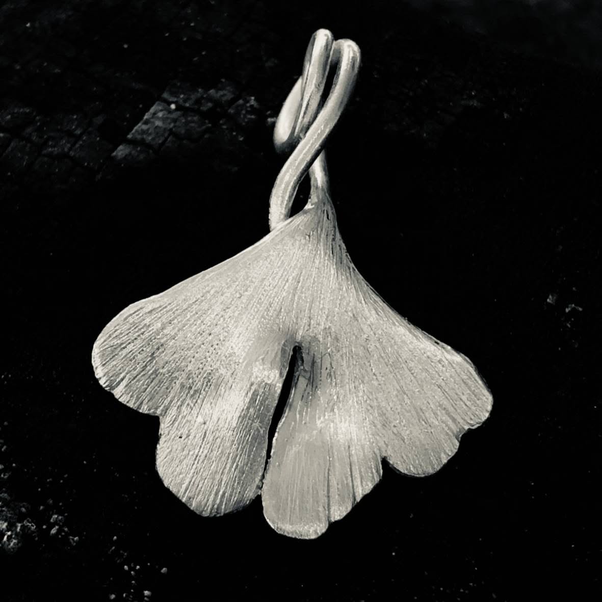 Ginkgo Ginkgo
