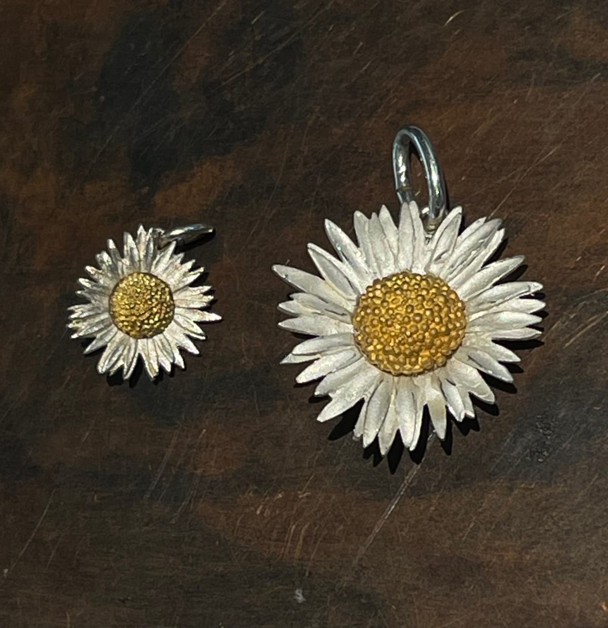 Gänseblümchen Bellis perennis Maximo, Anhänger – Bild 4